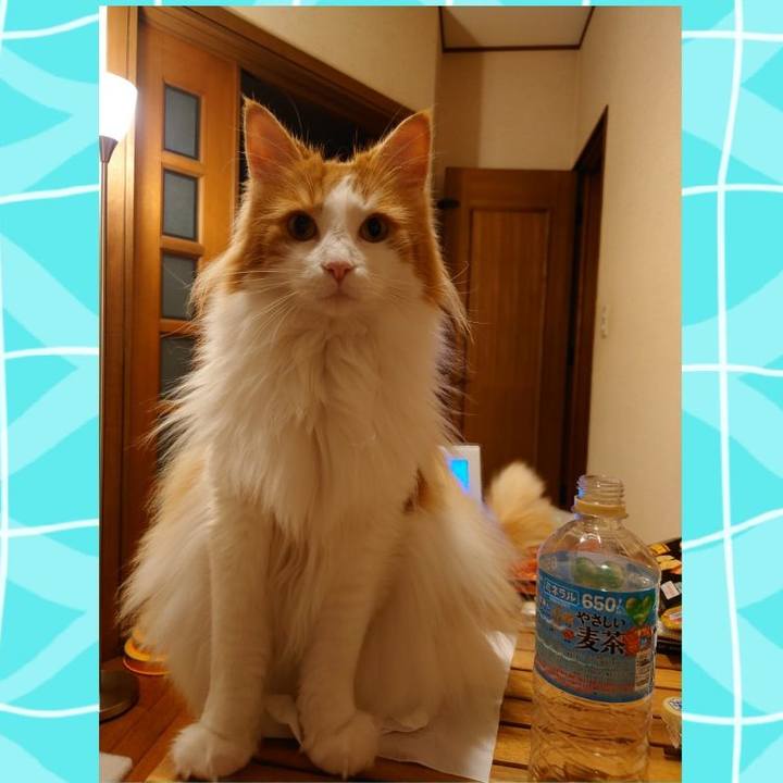 A3891eb4 cfda 4973 bdb1 7f66256582aa 1626360096198