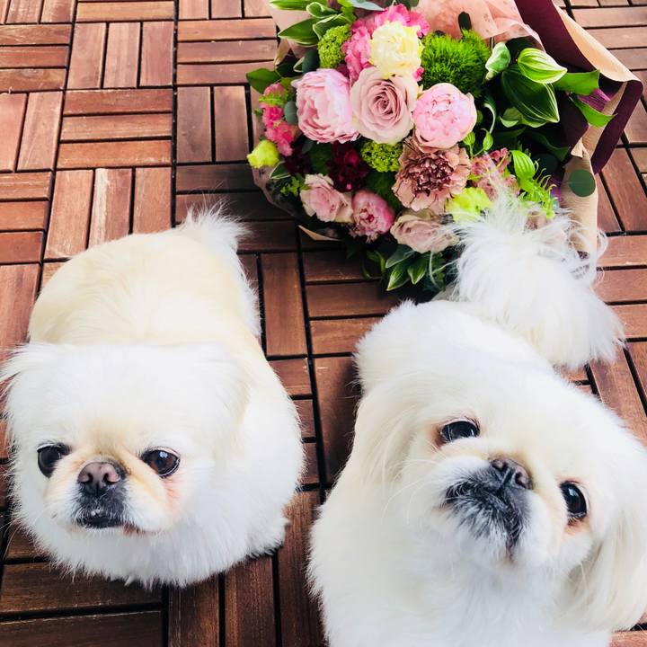 A3892e30 c3f3 485e 9999 5fd365ce3d40 1589233313168