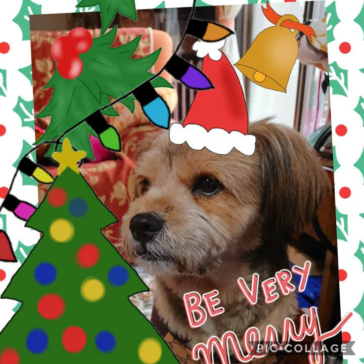 A3892e93 0fbd 463b 8397 eabf3f15fcbc 1577198509984