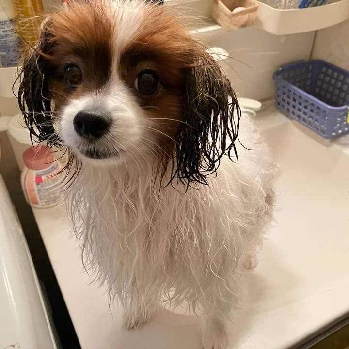 A3895def 06c1 4815 9b20 a44c5cec94ec 1758355927131