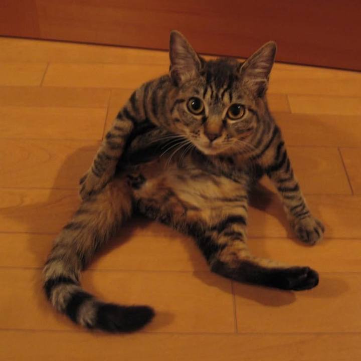 A3898fb3 44a2 49c0 92f3 eec6f21730a9 1775125905527