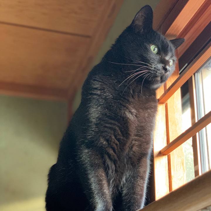 A3899261 1731 42bb 8674 0464217c40a9 1575336294816