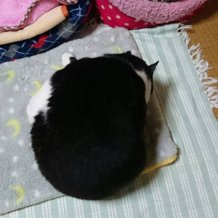 A389aa4d aac6 46a6 a65b 1f248afd2318 1509280714278