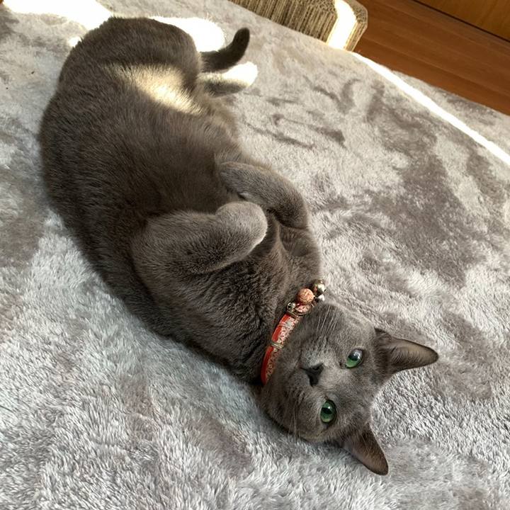 A389af77 6dab 442a b8f7 e8e1f85023e8 1615033491692