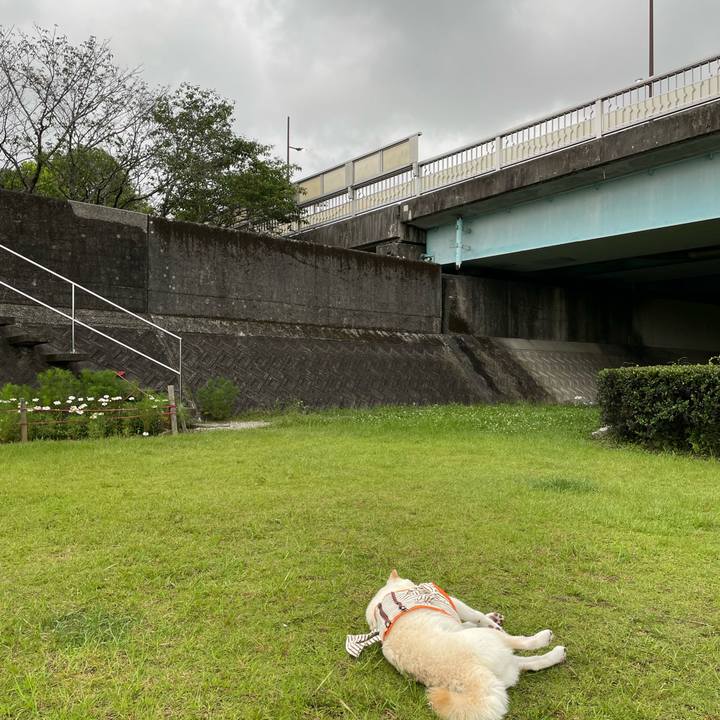 A38a02b9 00ff 467c a0b6 5677cb605036 1656321619125