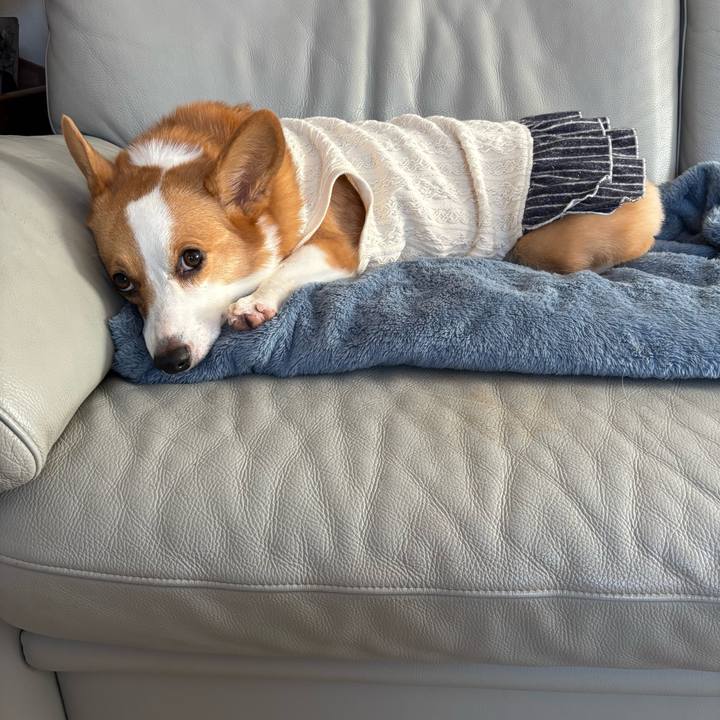 A38a190e db30 447d afa1 4262a06e87a5 1763681037819