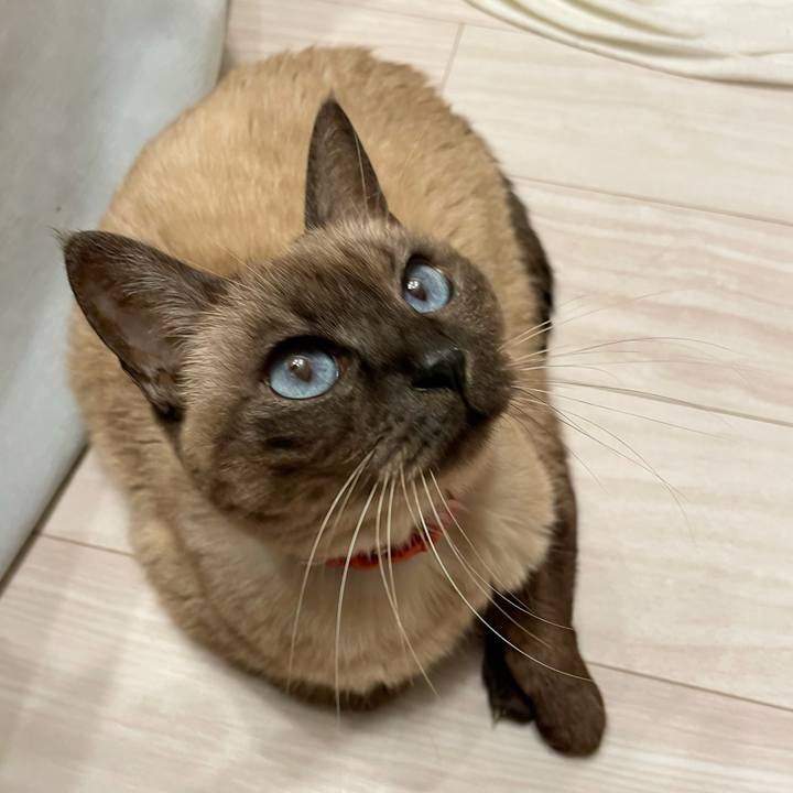 A38aac1f fb25 4cef 9bfd 9e1f139d3110 1767532905845