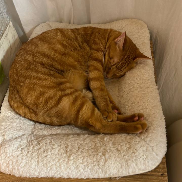 A38aae12 2ffd 402b a477 b528a33af9a6 1732875461023