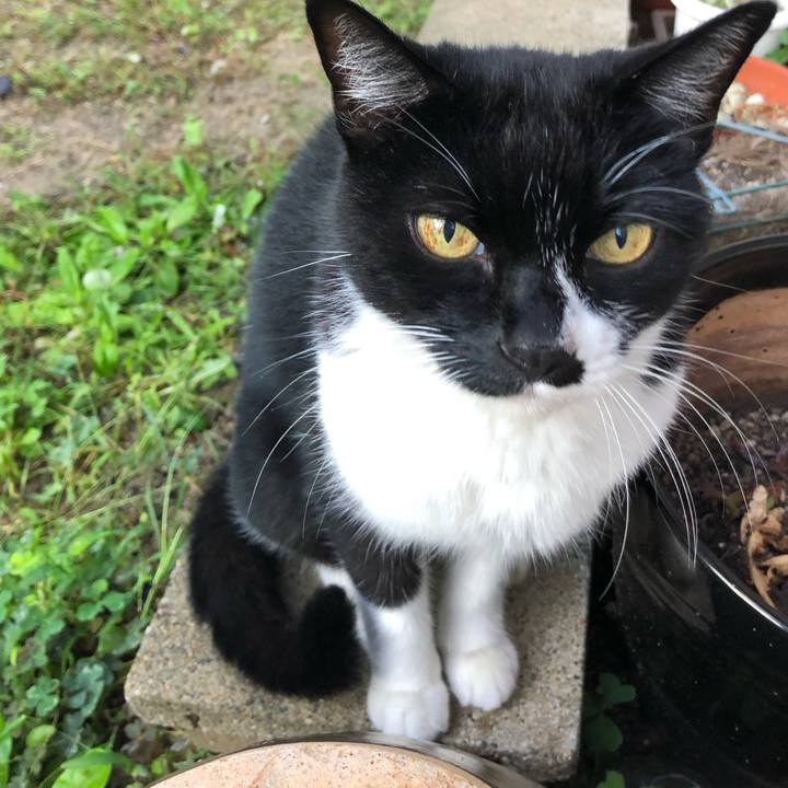 A38ab237 d059 4d04 bd03 f666d6ef3542 1600986403542