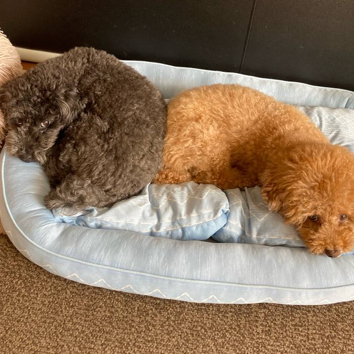 A38ac750 fb1d 4966 a2dc 3af7a8c5e420 1694350608201