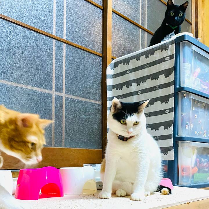 A38acb75 d711 4481 b010 ded6511c8b4c 1694433583703