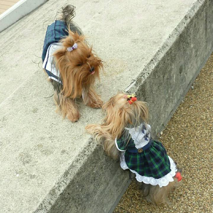 A38af0a2 3e6e 498f 837b 0a823785f305 1537580972486