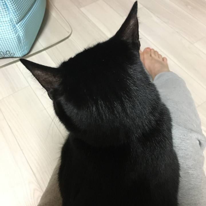 A38af5f4 1fed 4243 bbff 2b20671cc7ca 1514726575261