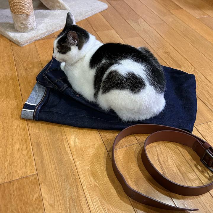 A38b6475 f58e 4e37 b7f2 21b6b9ec4874 1720616500371