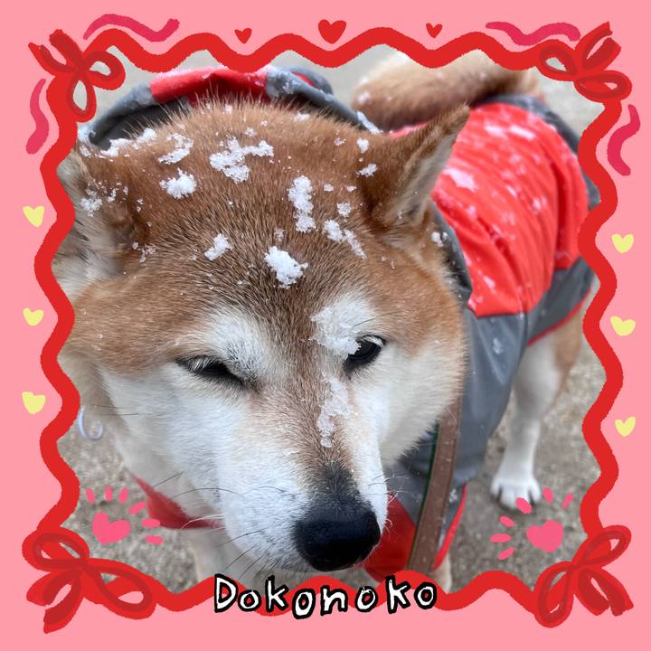 A38bc1dd a8fd 4dcc 92c8 e2977ade8de6 1707118982692