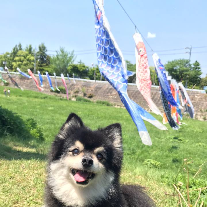 A38c0eda d609 414a ab18 b87b82f311ad 1651890179954