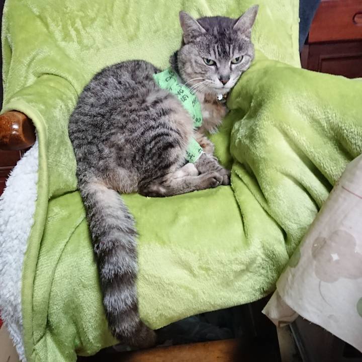 A38c2c33 51c1 4ceb 97d8 b63f9ff6e78f 1587506261085