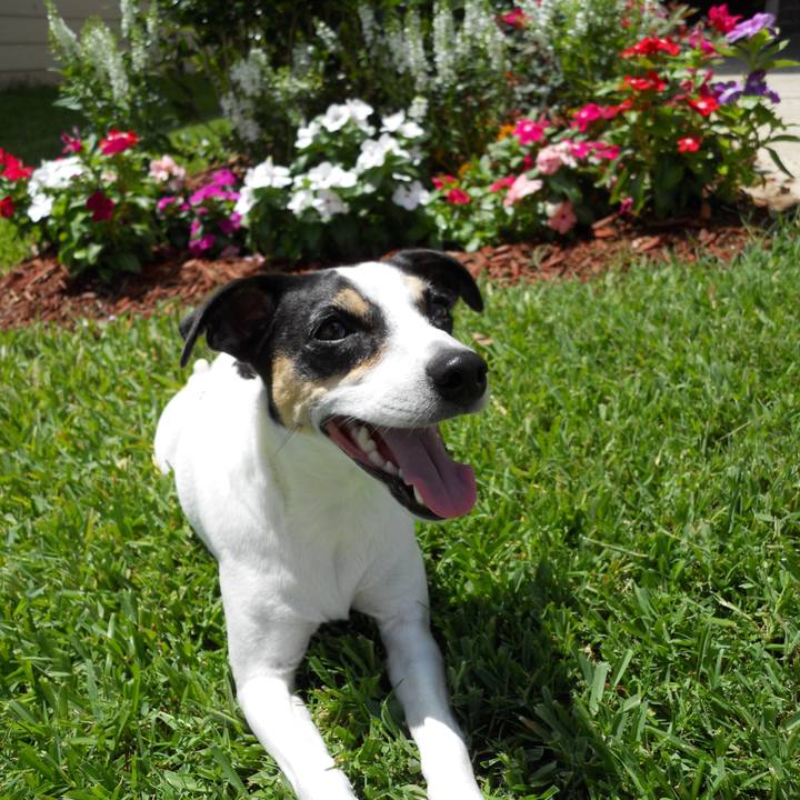 A38c7635 7221 4b04 9670 b7cadc7f1c01 1658191692284