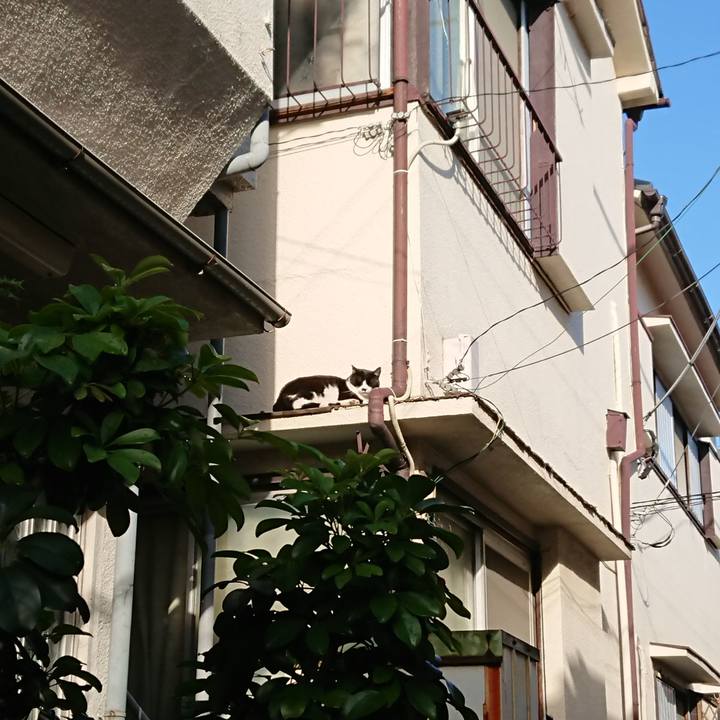 A38c7e07 7e6a 4629 a916 923968d42628 1527169217878