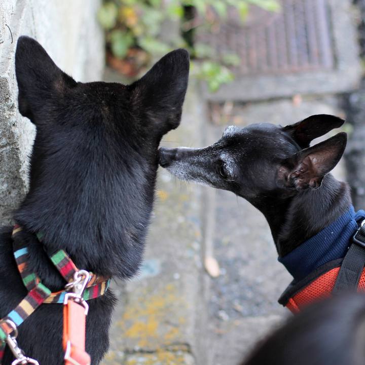 A38cb21f 93f8 4149 ab19 558686d6609d 1510057324114