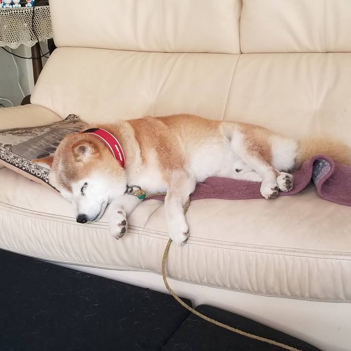 A38cb24b 0c71 44b4 bd95 da85867f7e67 1722215951375