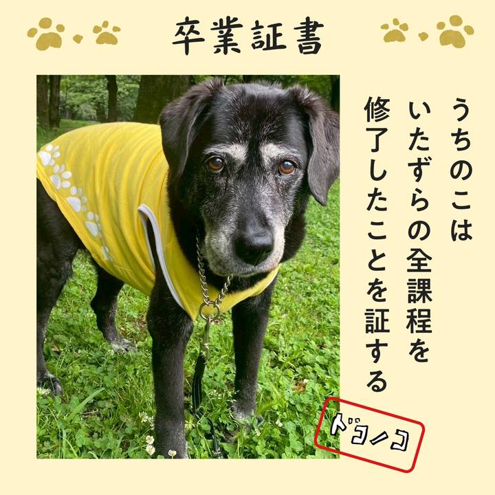 A38cc701 c2fd 404b 8806 7e818b5fcdc2 1772451429634