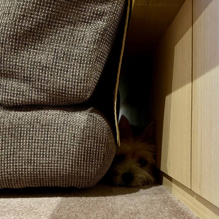 A38ccac7 8c7a 45e3 97db 011654728dfd 1726932032135