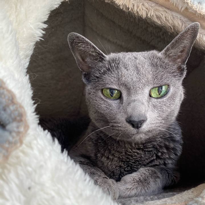 A38cce81 863a 4bbd b4d9 284ff11fa118 1615885031491