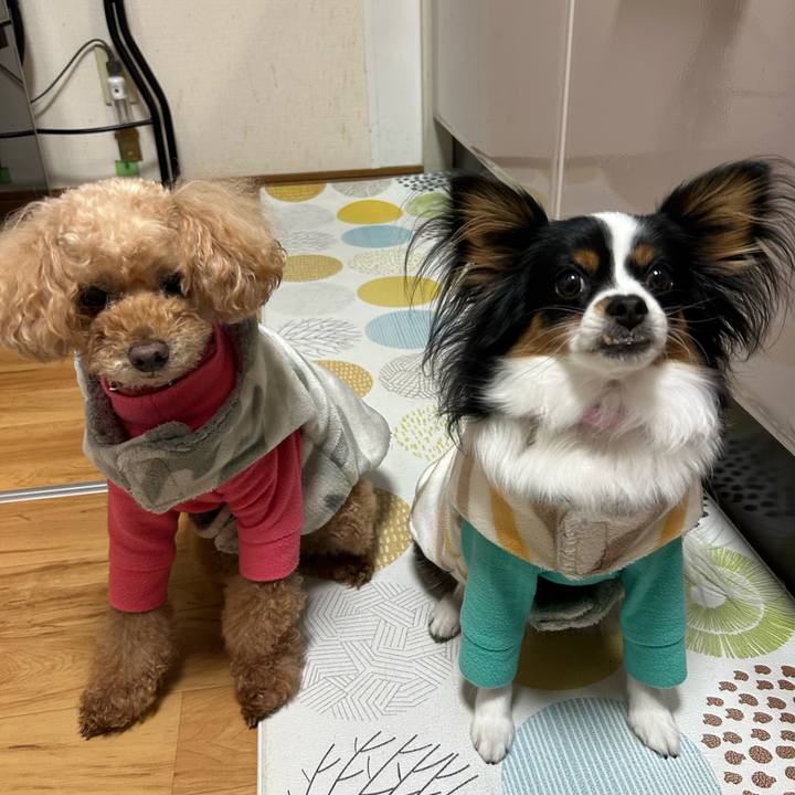 A38cd234 c7d2 4716 b747 ceca5b28570d 1767003961330