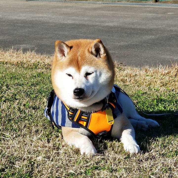 A38ce711 eff4 4603 9202 66877ffe7abb 1637037655441