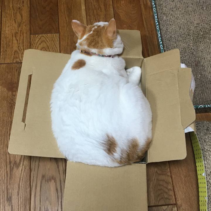 A38cec7d 0b1d 42ae b890 d97a8acc17e3 1537536307024