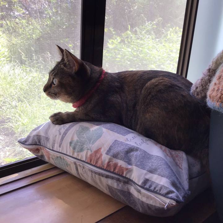 A38cee63 8cfe 4333 9f60 94673845a716 1600739520080