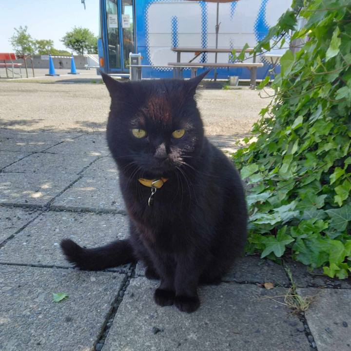 A38d5e01 f698 49f9 a8d4 798019957f06 1715304761742