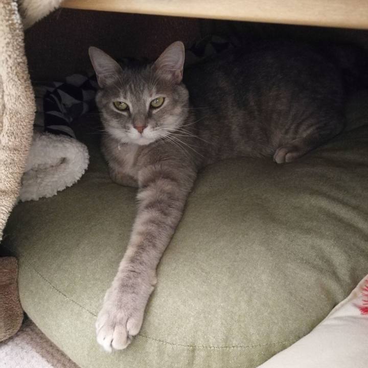 A38d6ec7 cb9c 42cf 8a09 2778d3f75f6f 1550735368179