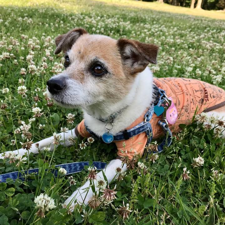 A38d730b af9c 4ec9 9b95 886a398846bd 1652169011812