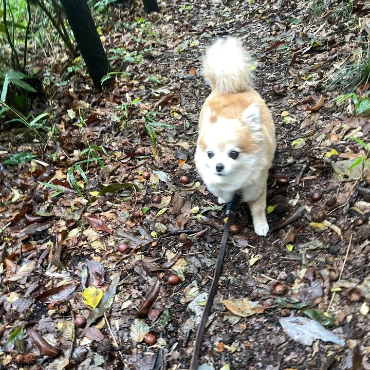 A38e21b0 6866 4d27 9859 4491fc533453 1761368707089