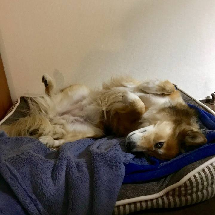 A38e3ec8 d277 4c90 a938 7f46acfe8955 1512992911959