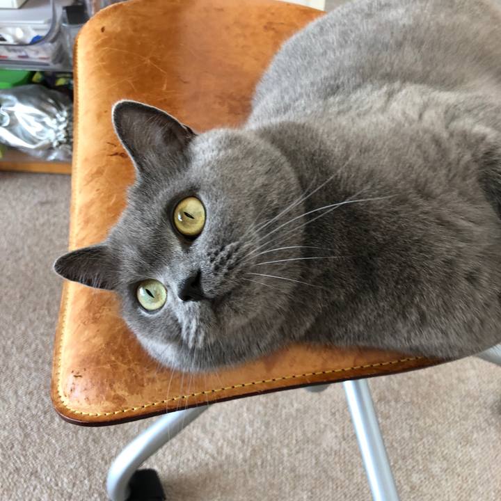 A38e9241 f51b 4075 949d fc5fdfd87e8e 1535175433880