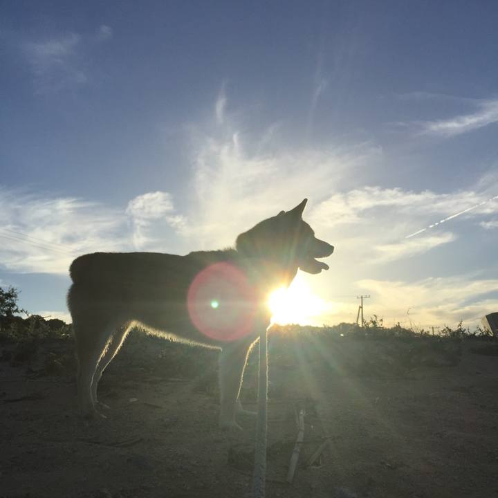 A38ed6b0 b2dc 4278 b29d 6e051f97ee30 1535070669271