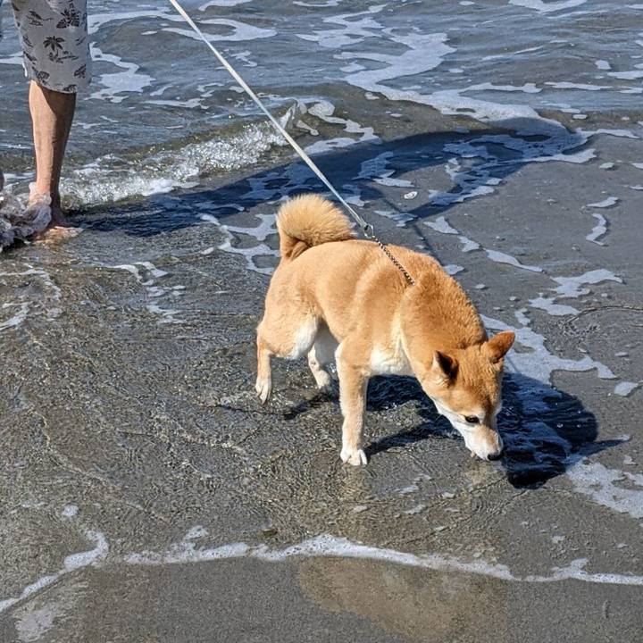 A38f155a 1f43 4f53 96c2 973ea145a234 1655012395252