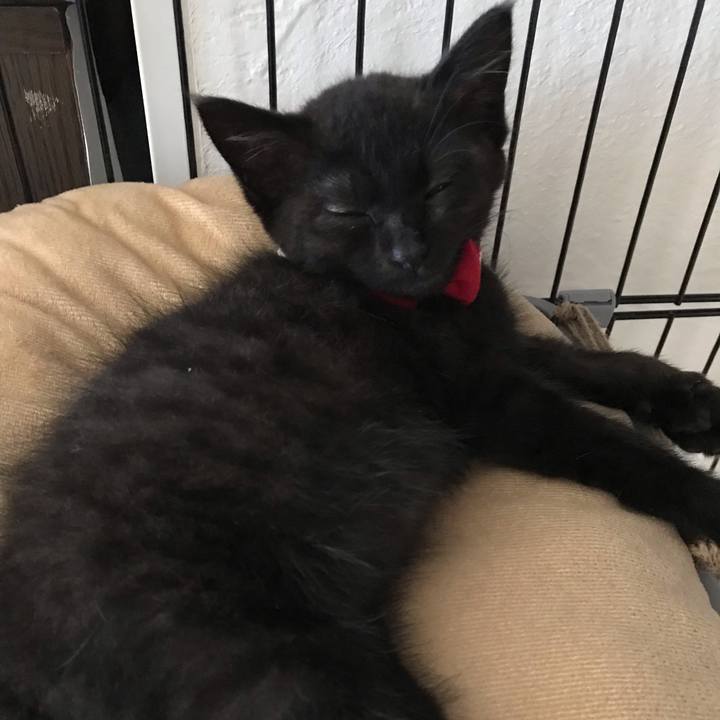 A38f8d8b c511 4cb3 8472 0259f466399e 1658899777398