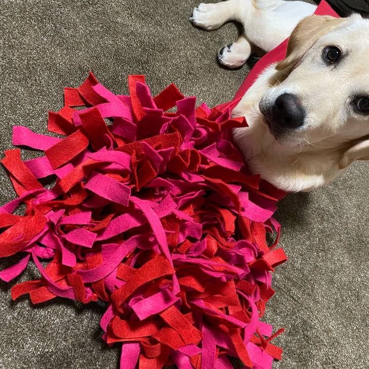 A390568d cc60 471a a21b c70448f14f89 1618497457516