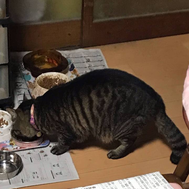 A3906029 e8e2 45ce 969a 5ccf10661ca9 1651407864057