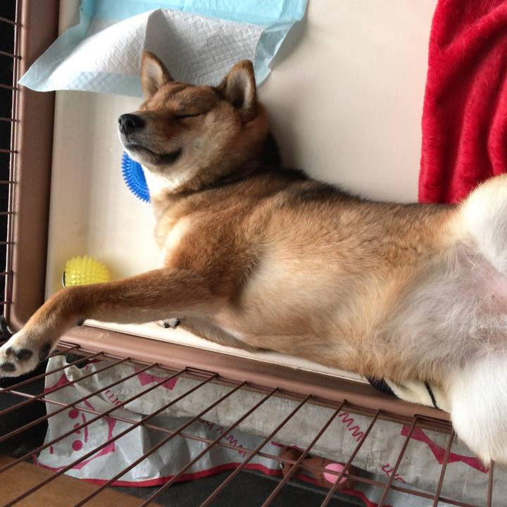 A3908373 0a30 4047 86ba ec3a3595ab37 1517802661157