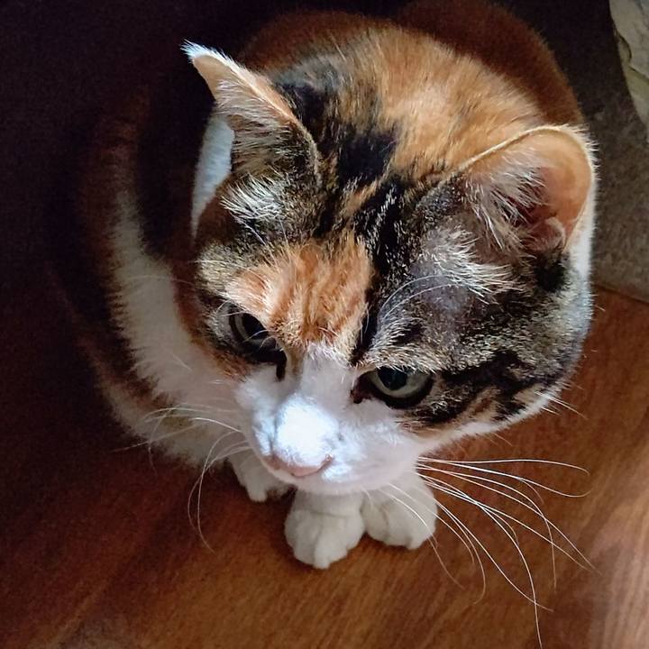 A3909373 8e70 4033 b2c6 668ef3299527 1643579624008