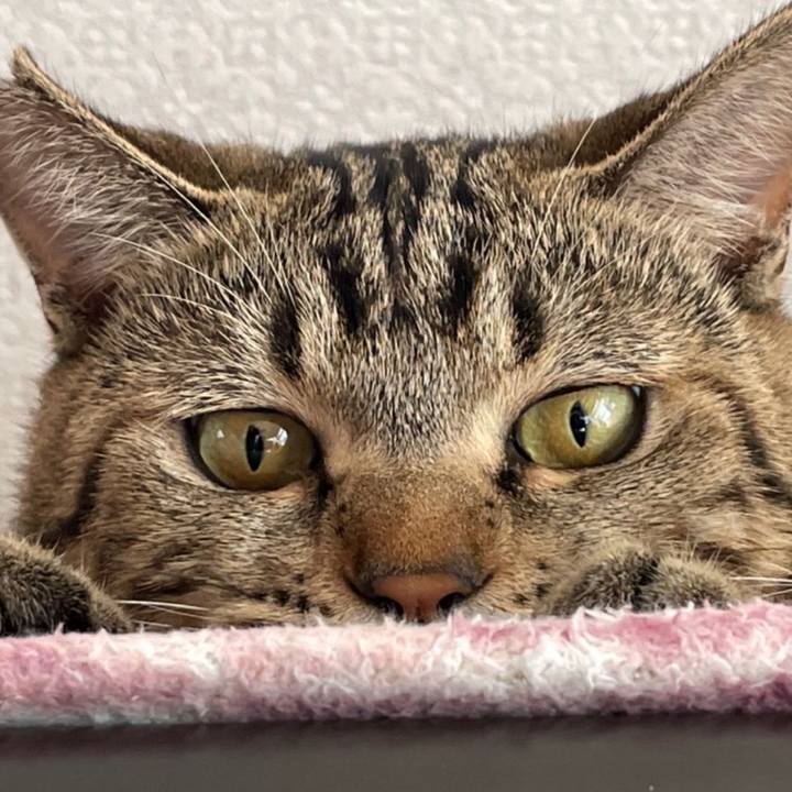 A390a7bc fb65 4ad7 b5aa ca0ec8bc1a75 1701341554432