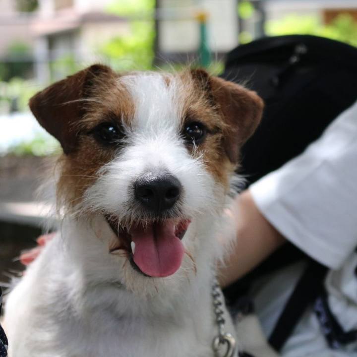 A390abde eb70 4916 9fed 3544436b945e 1685316853131