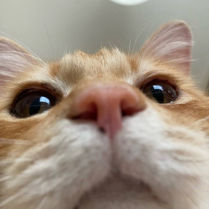 A390db8d bca4 44fe b548 fe69523a4952 1756532411250