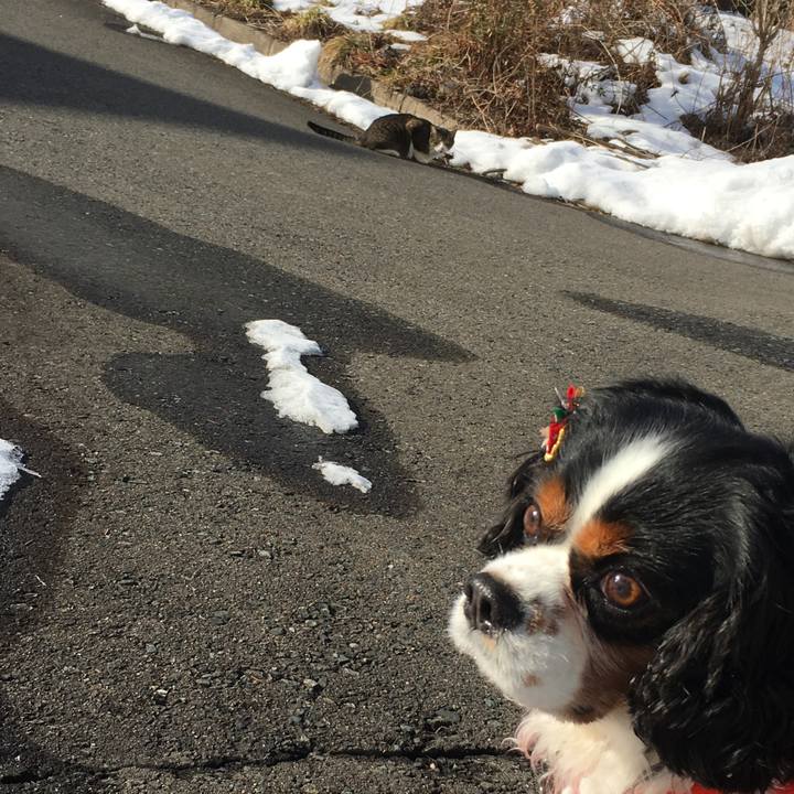 A390de85 a7a8 42eb 81c0 572803e4727a 1513572764361