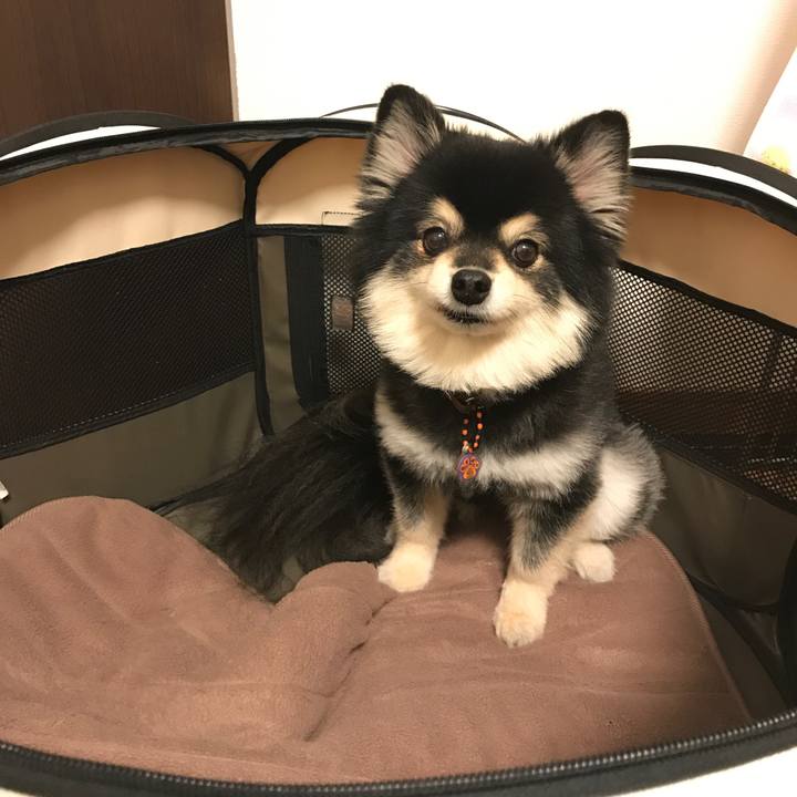 A390e1c3 e38c 4f49 9447 c0be9f938a53 1523894444475